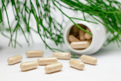 40:1 Inositol For PCOS/PMOS: What The latest Research Shows
