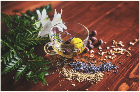 How Plant Extracts Influence Excess Androgen Activity