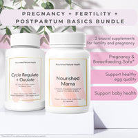 Thumbnail for Pregnancy + Fertility + Postpartum Basics Bundle - Bundle & Save - Nourished Natural Health